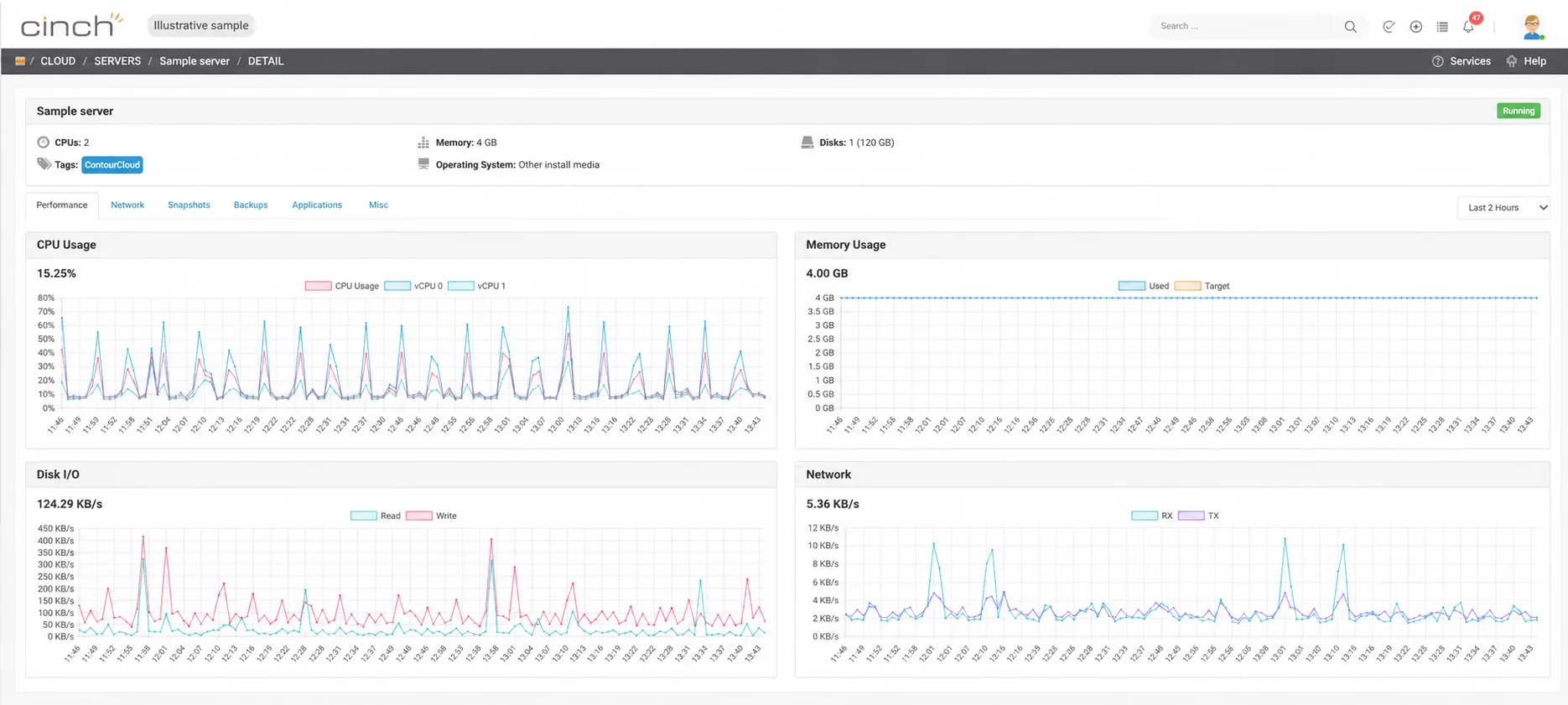 Anonymized illustrative Cinch server performance view